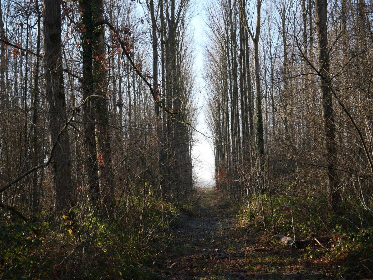 La Cabane Du Chasseur Flines-Les-Mortagne 外观 照片
