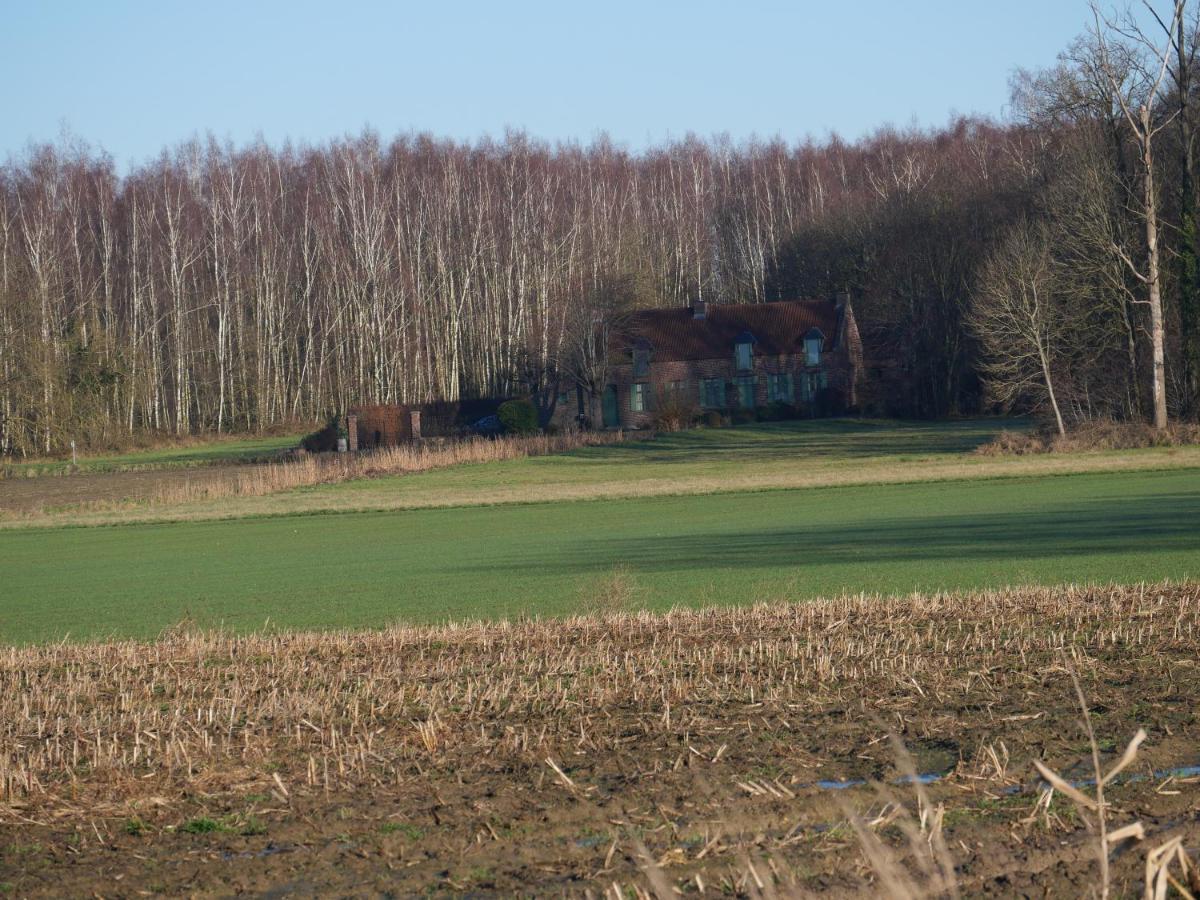La Cabane Du Chasseur Flines-Les-Mortagne 外观 照片